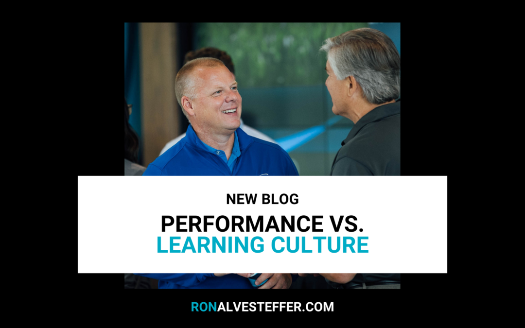 Performance vs. Learning Culture